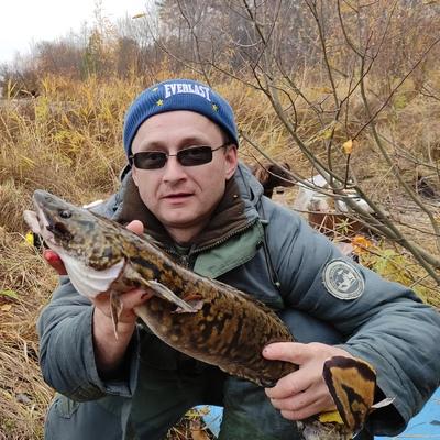 Алексей Гунгер