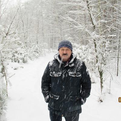 Евгений Голодников