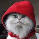 Энтина Александра Ильинична